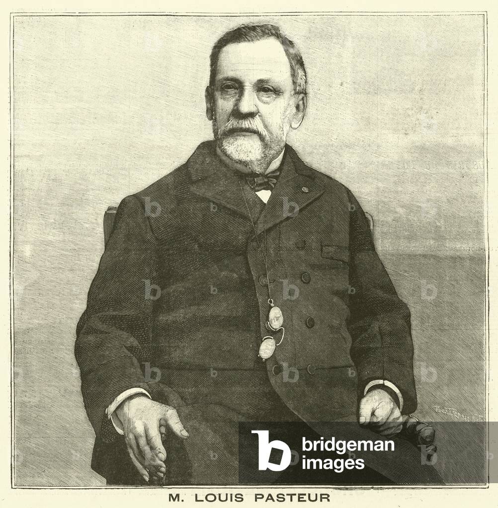 Louis Pasteur, French microbiologist (engraving)