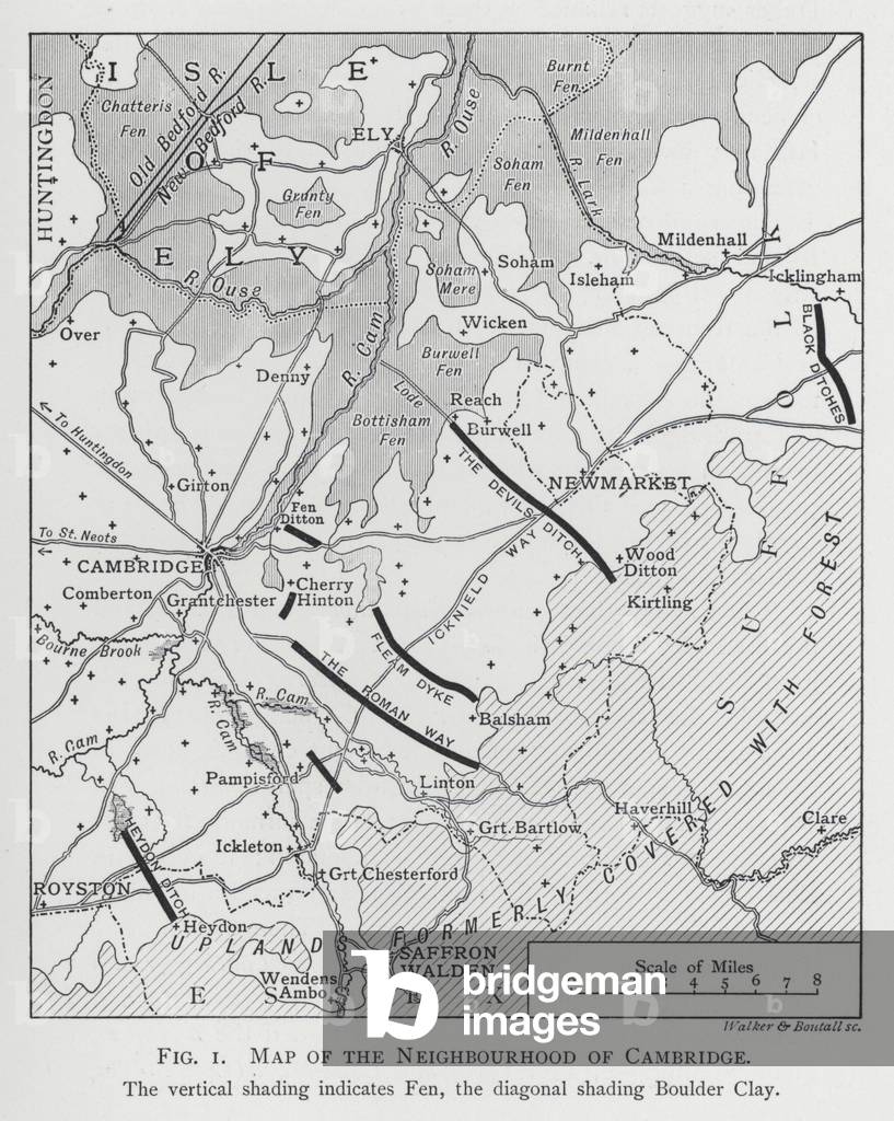 Map of the Neighbourhood of Cambridge (engraving)