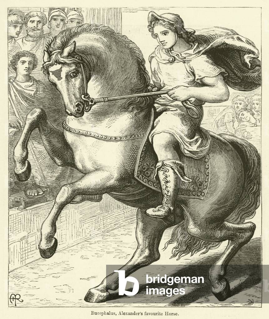Bucephalus, Alexander's favourite Horse (engraving)