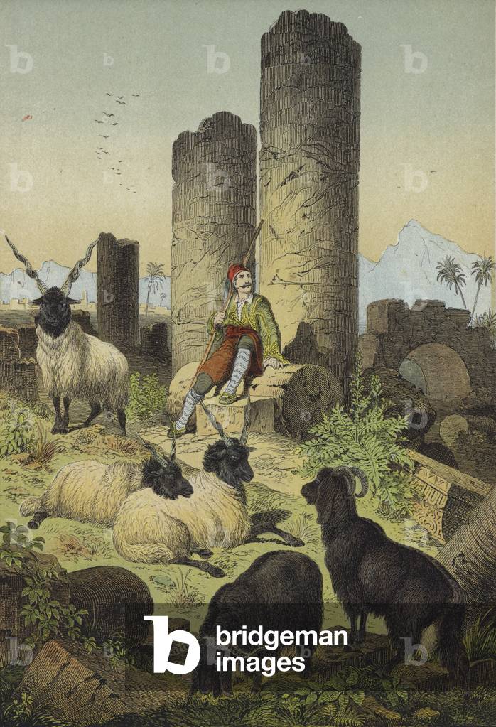 Greek shepherd with Wallachian sheep and Syriax-Goats (colour litho)