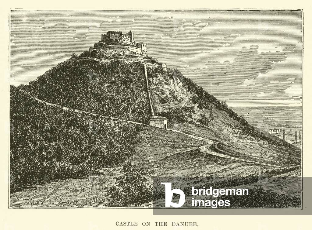 Castle on the Danube (engraving)