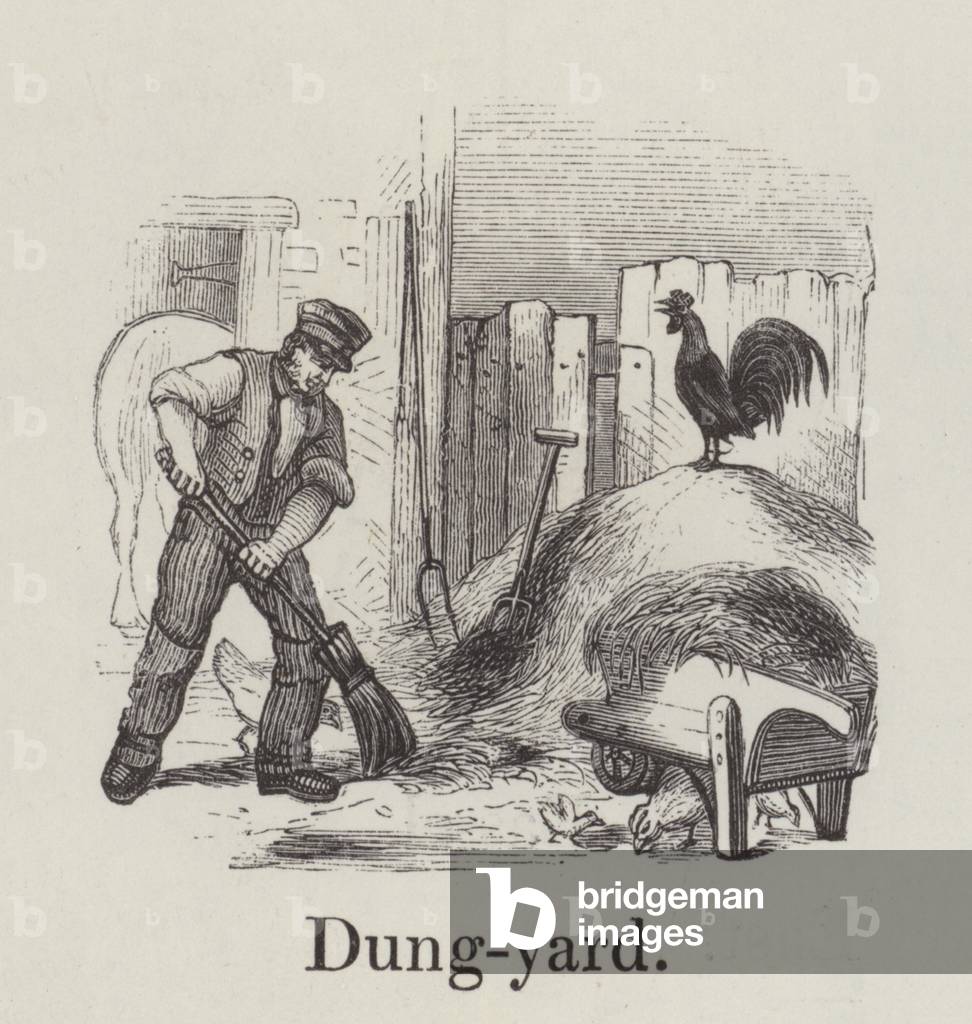 Dungyard (engraving)