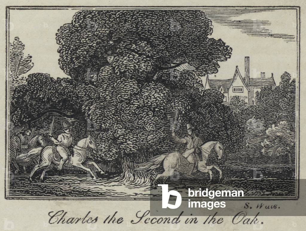 Charles the Second in the Oak (engraving)