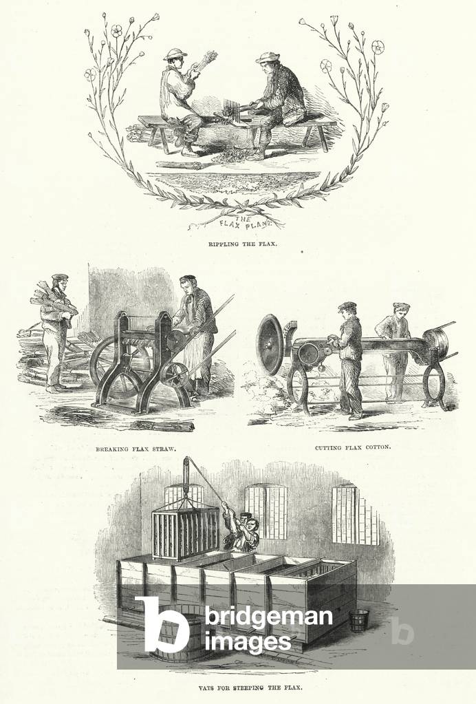 Flax Works (engraving)