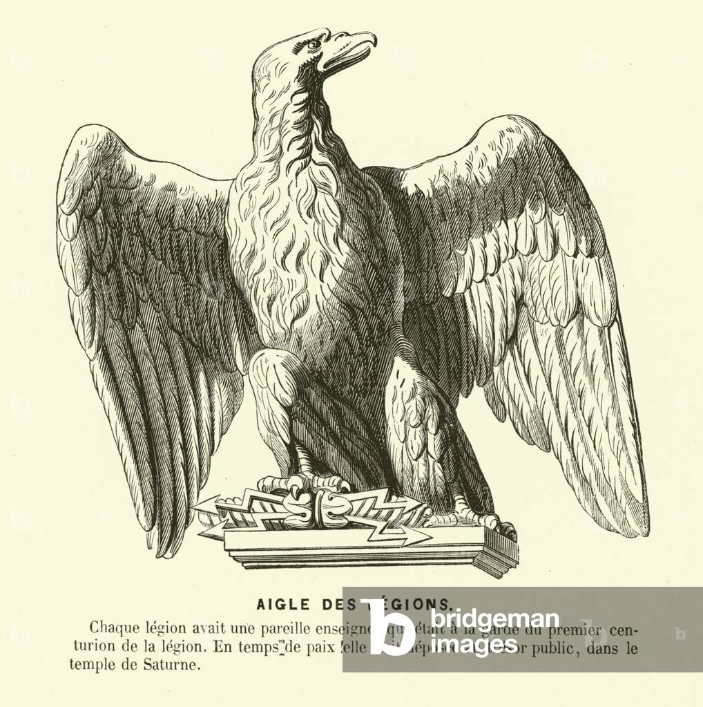 Eagle standard of a Roman legion (engraving)