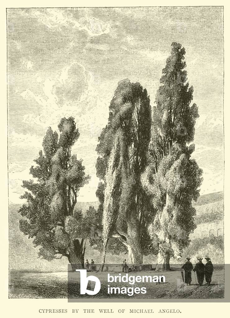 Cypresses by the Well of Michael Angelo (engraving)