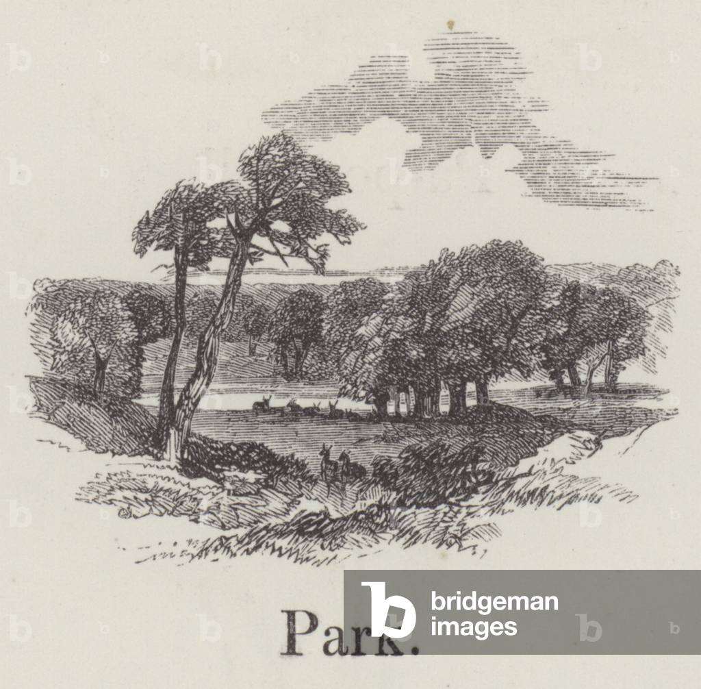Park (engraving)