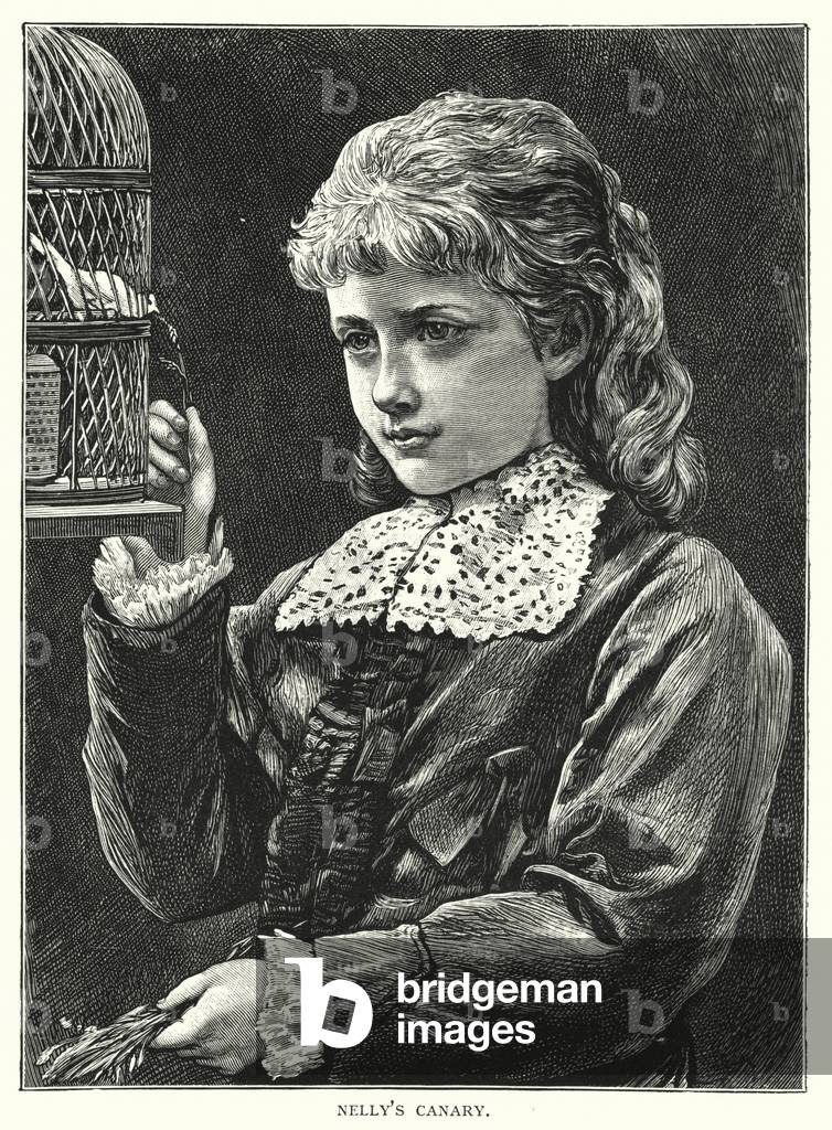Nelly's canary (engraving)