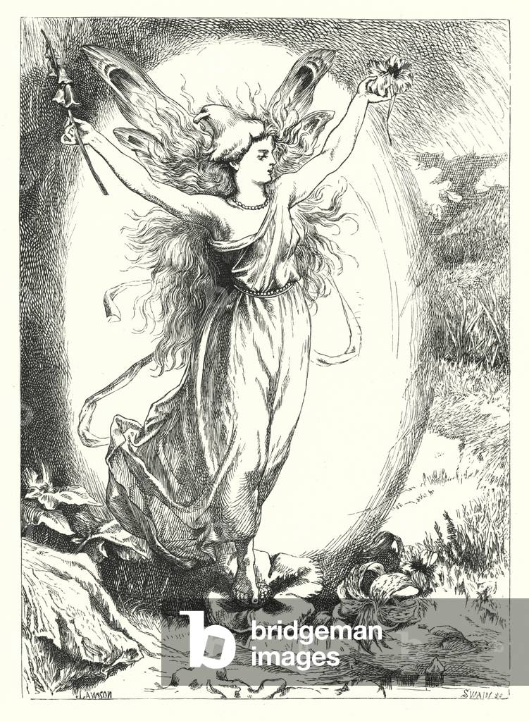 The Hidden Roses (engraving)