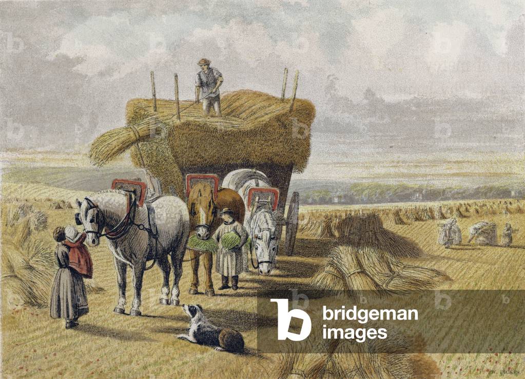 The Harvest Field (colour litho)