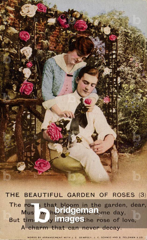 The Beautiful Garden of Roses (photo)