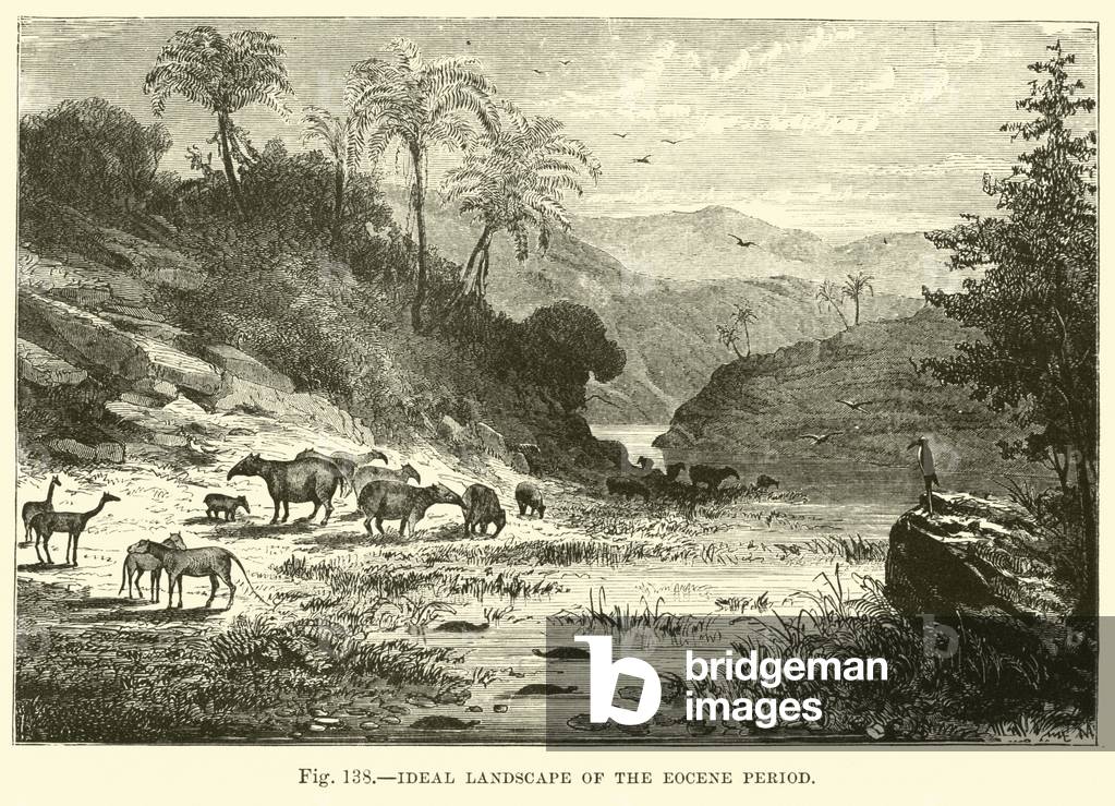 Ideal Landscape of the Eocene Period (engraving)