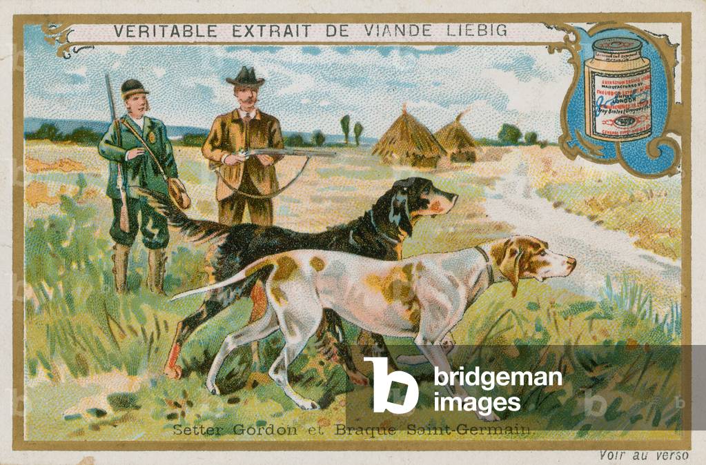 Gordon Setter and Braque St Germain (chromolitho)