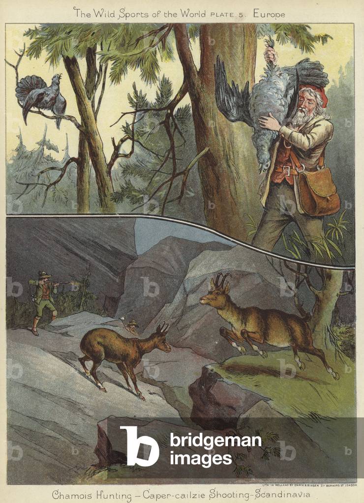 Chamois hunting and caper-cailzie shooting (colour litho)