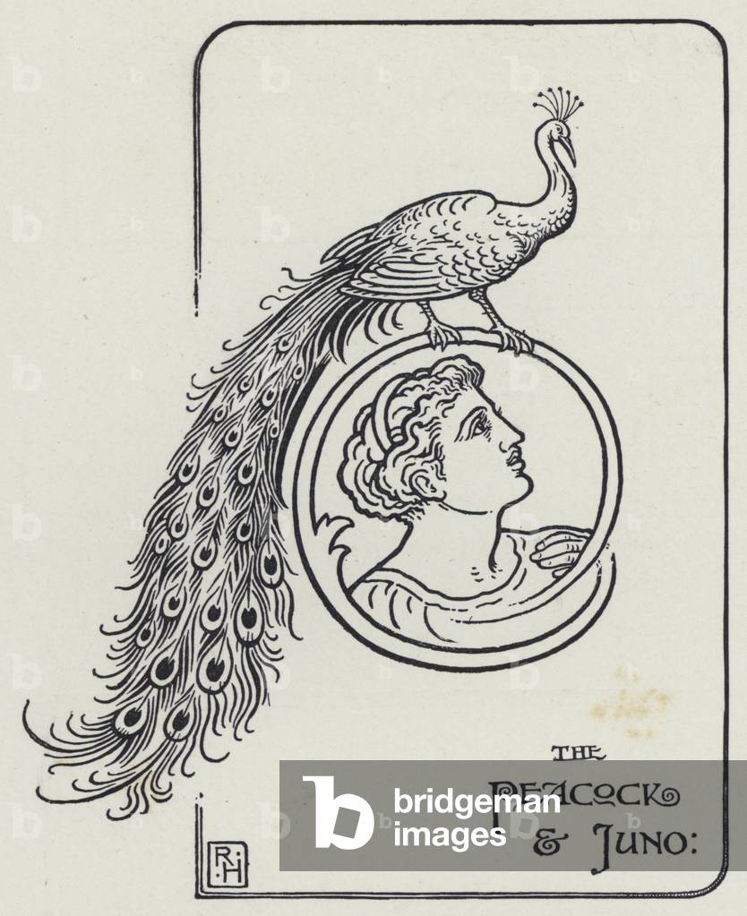 The Peacock And Juno (engraving)