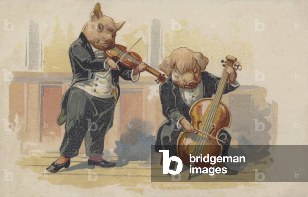 Two pigs playing musical instruments (colour litho)