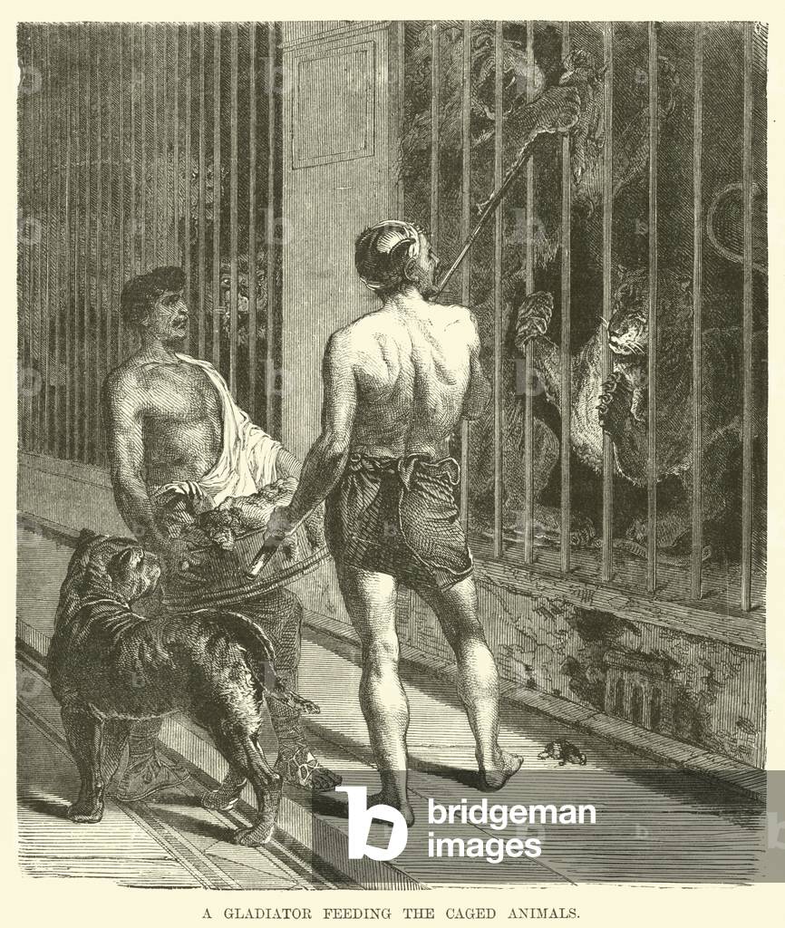 A gladiator feeding the caged animals (engraving)