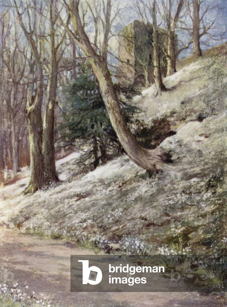 Scottish Gardens: Ardgowan (colour litho)