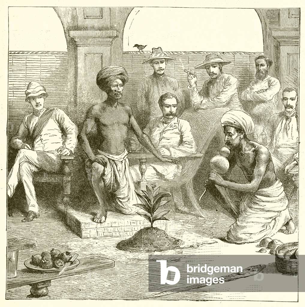 The Indian plant trick (engraving)