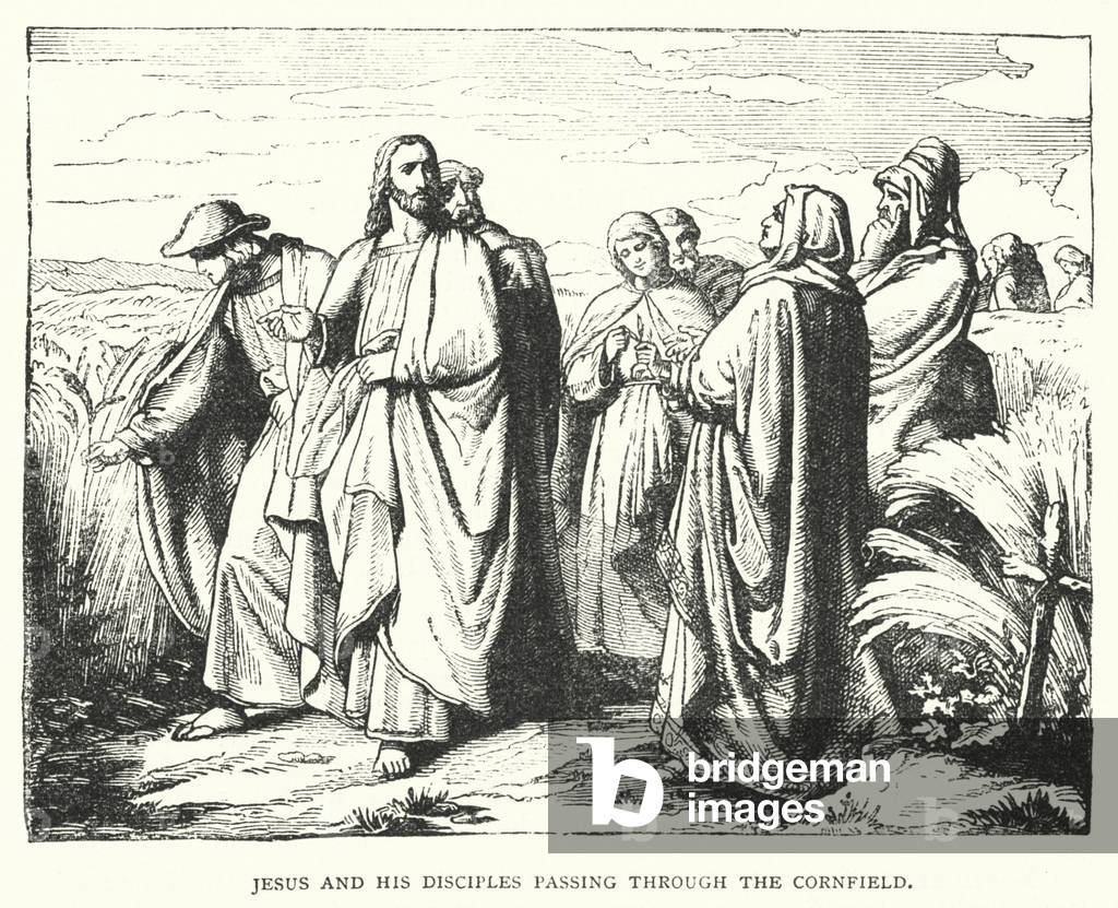 Jesus and his Disciples passing through the Cornfield (engraving)
