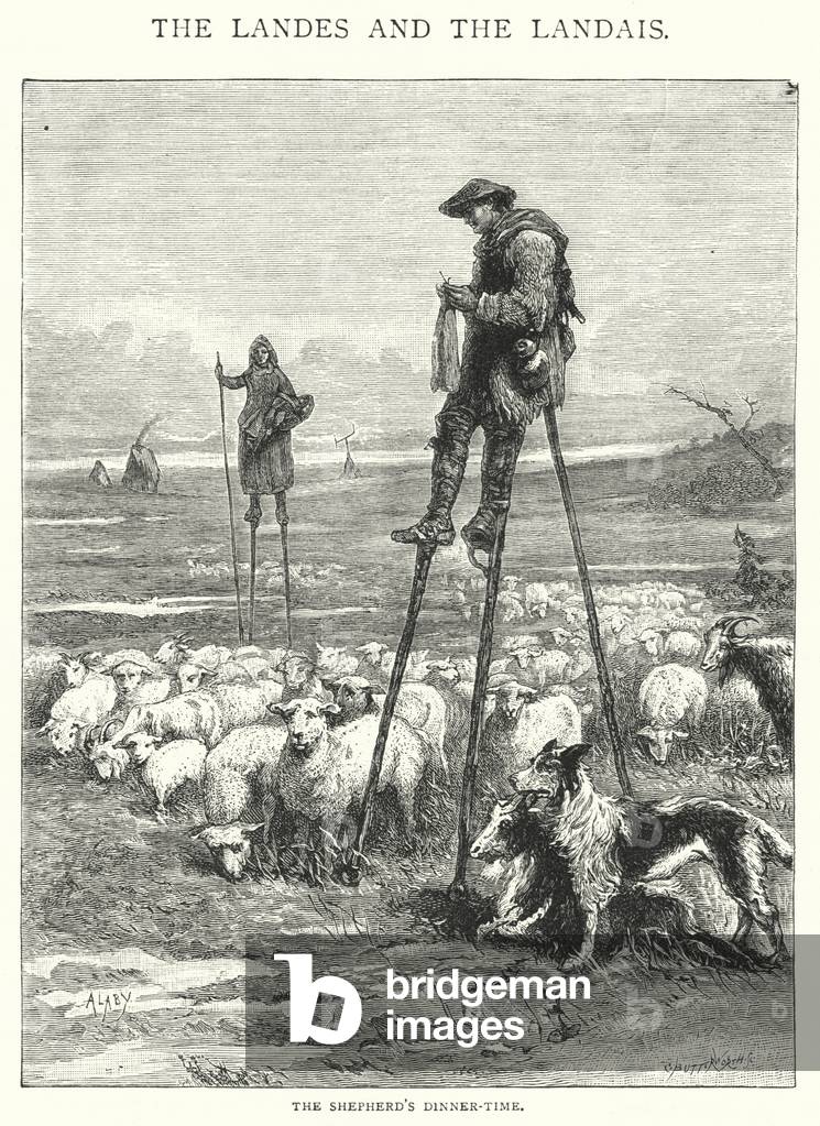 The Shepherd's Dinner-Time (engraving)