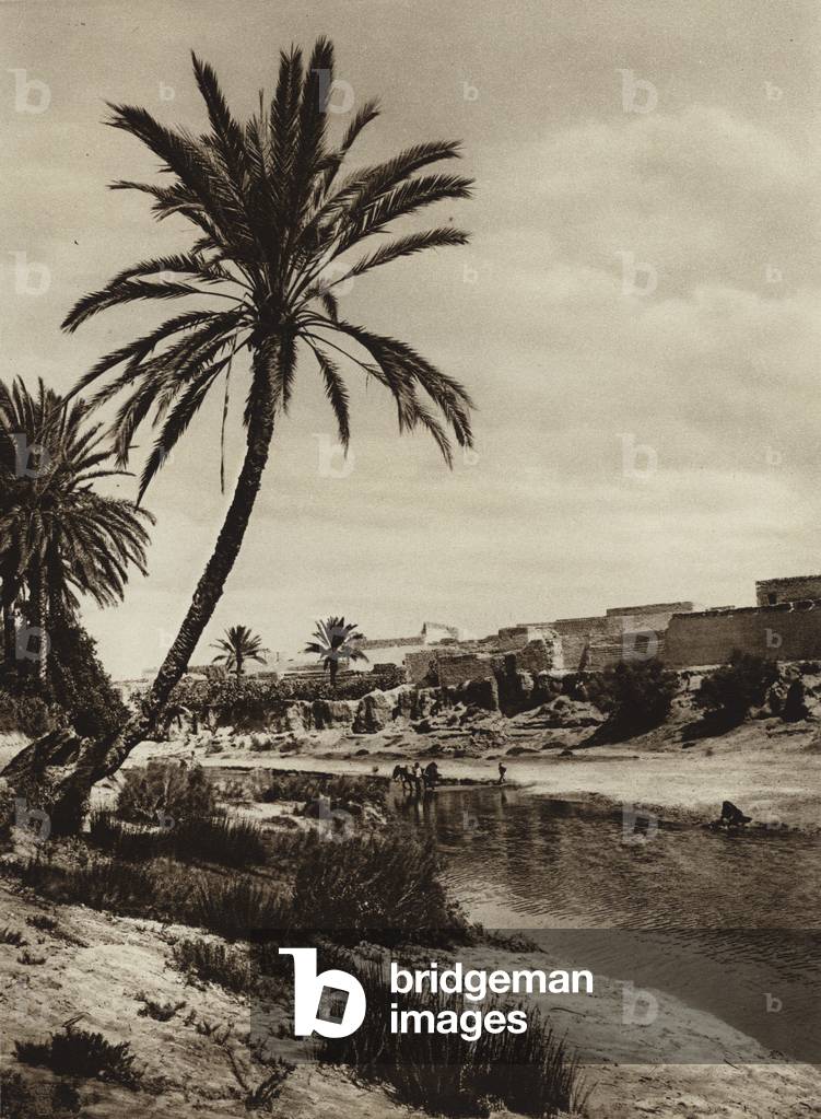 Gabes Oasis (b/w photo)