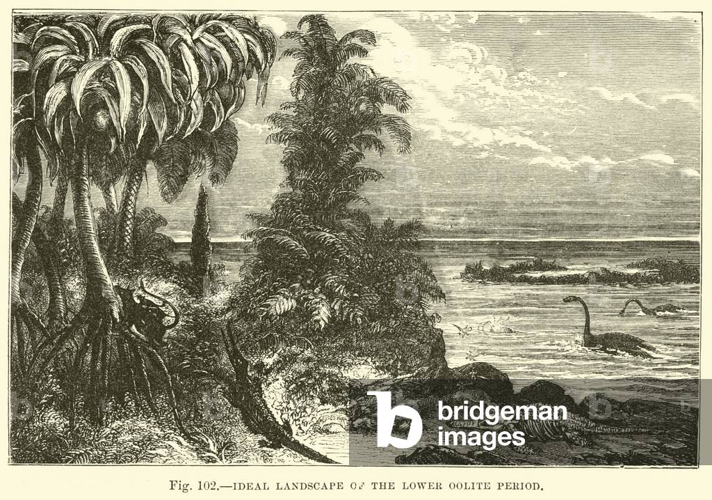 Ideal Landscape of the Lower Oolite Period (engraving)