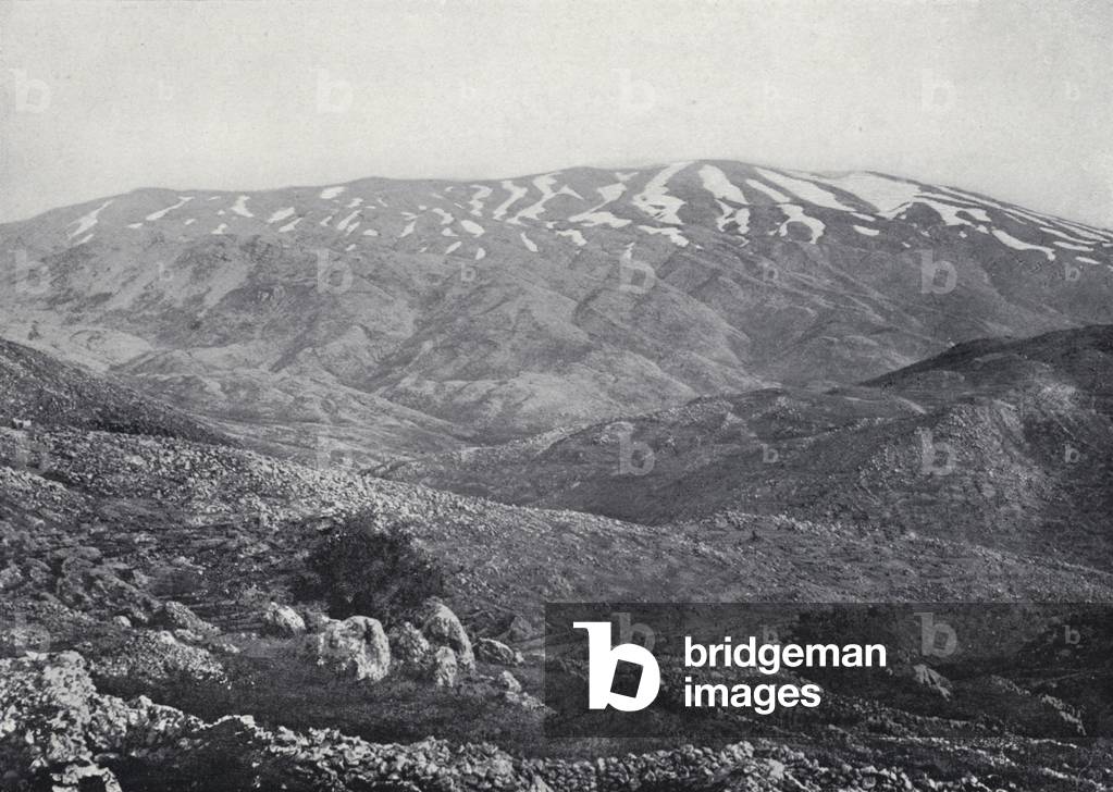 View of Mount Hermon (b/w photo)