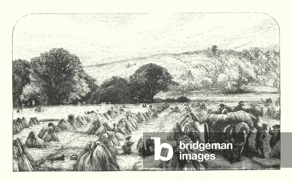 Elegy written in a Country Churchyard (engraving)