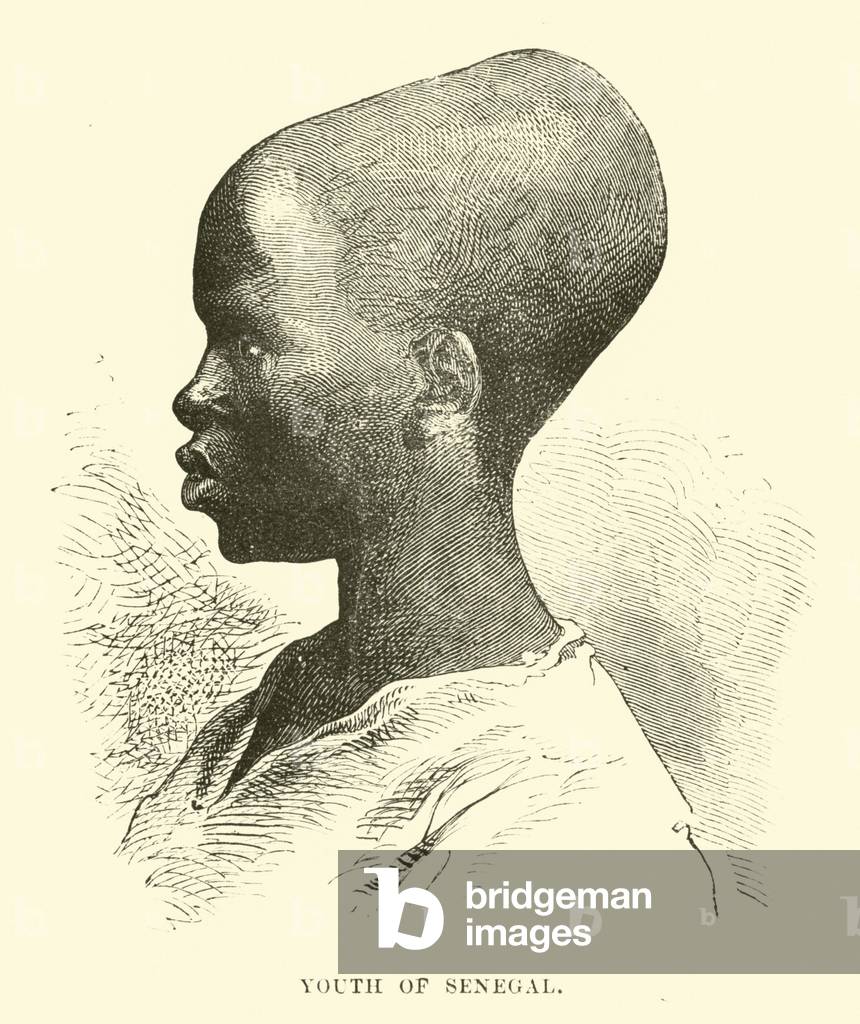 Youth of Senegal (engraving)