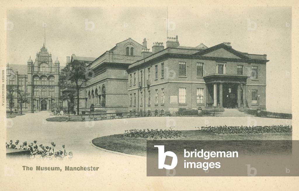 Manchester Museum (b/w photo)