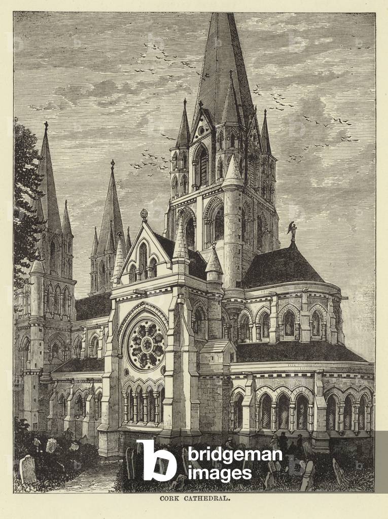 Cork Cathedral (engraving)