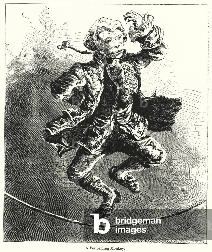A Performing Monkey (engraving)