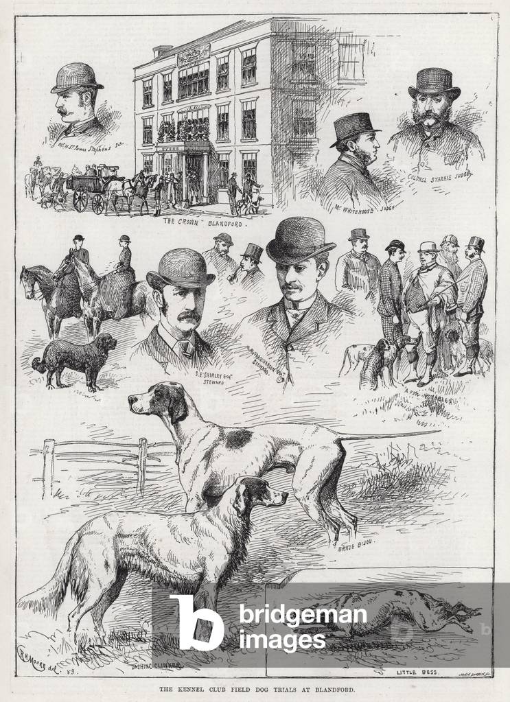 The Kennel Club Field Dog Trials at Blandford (engraving)