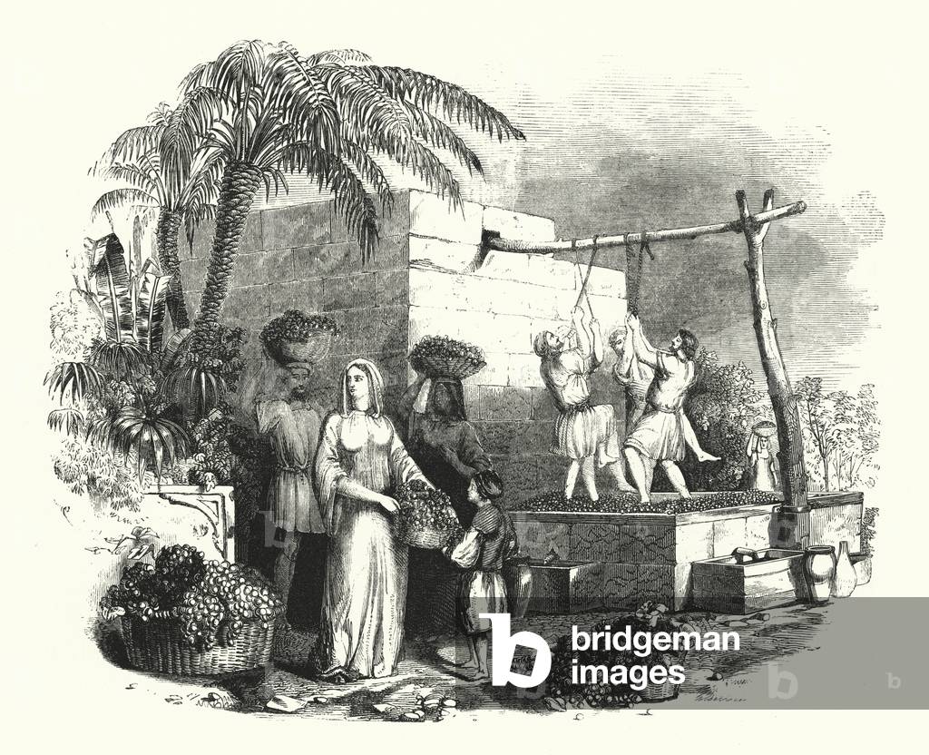 Wine Press (engraving)