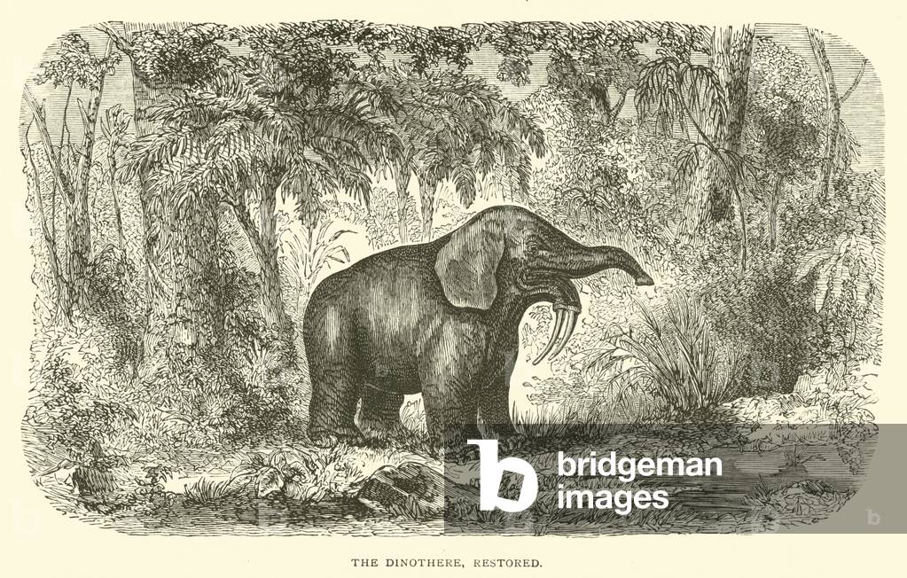 The Dinothere, restored (engraving)