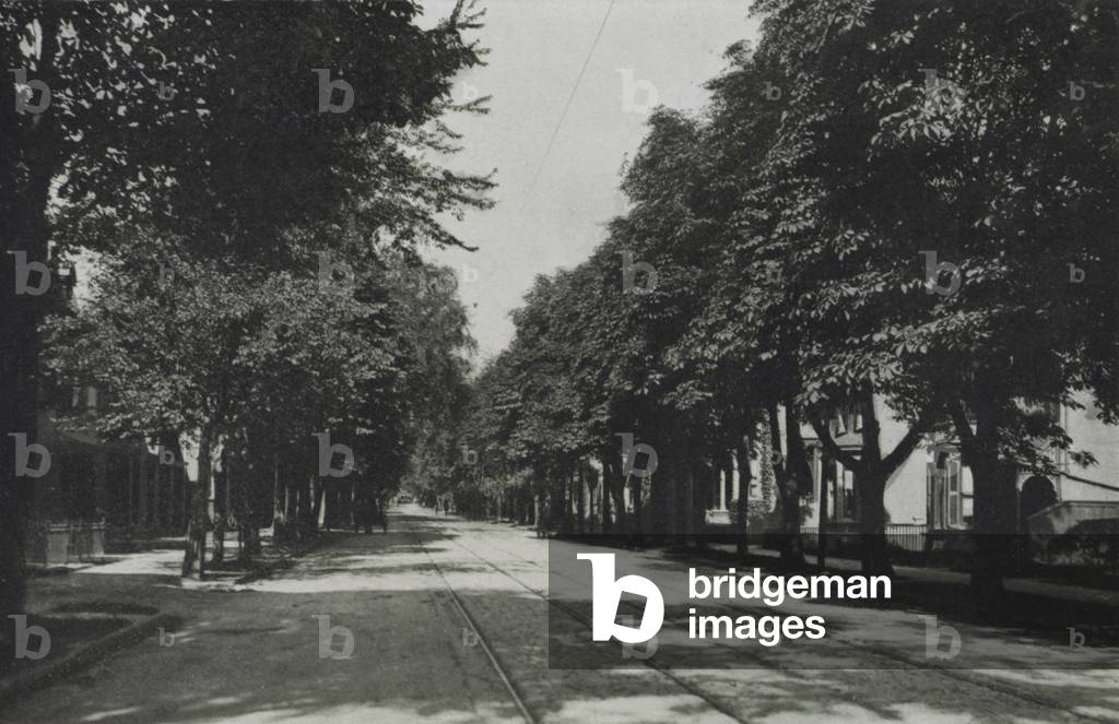 Toronto: Sherbourne Street, A Residential Section (b/w photo)