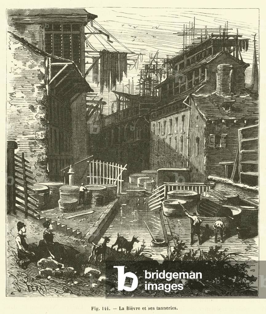 La Bievre et ses tanneries (engraving)
