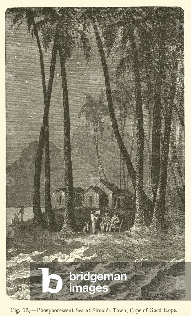 Phosphorescent Sea at Simon's Town, Cape of Good Hope (engraving)