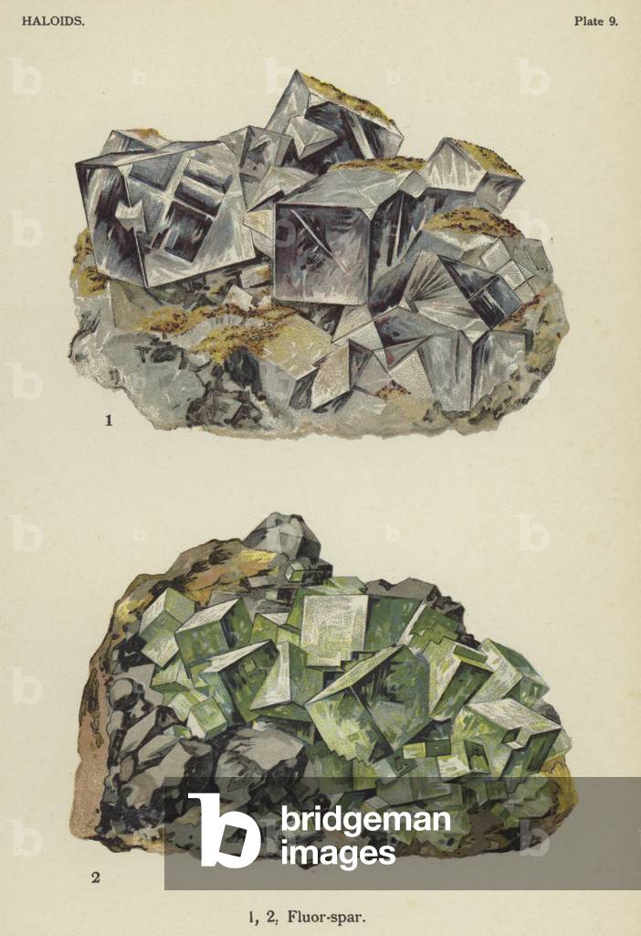 Haloids, fluor-spar (colour litho)