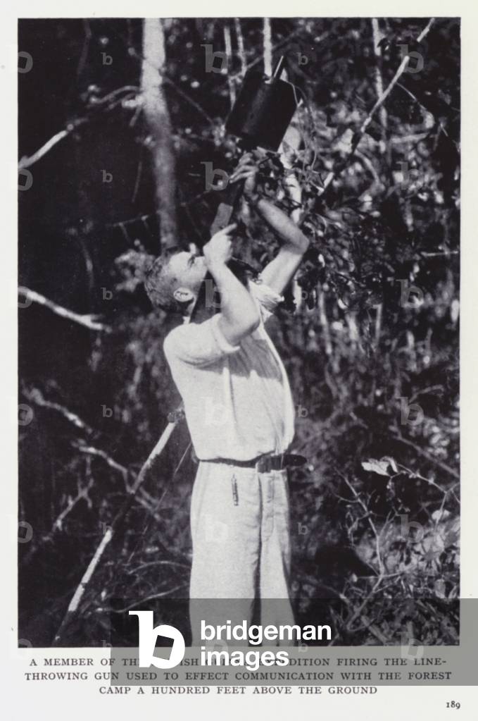 A member of the British Guiana Expedition firing the line-throwing gun used to effect communication with the forest camp a hundred feet above the ground (b/w photo)