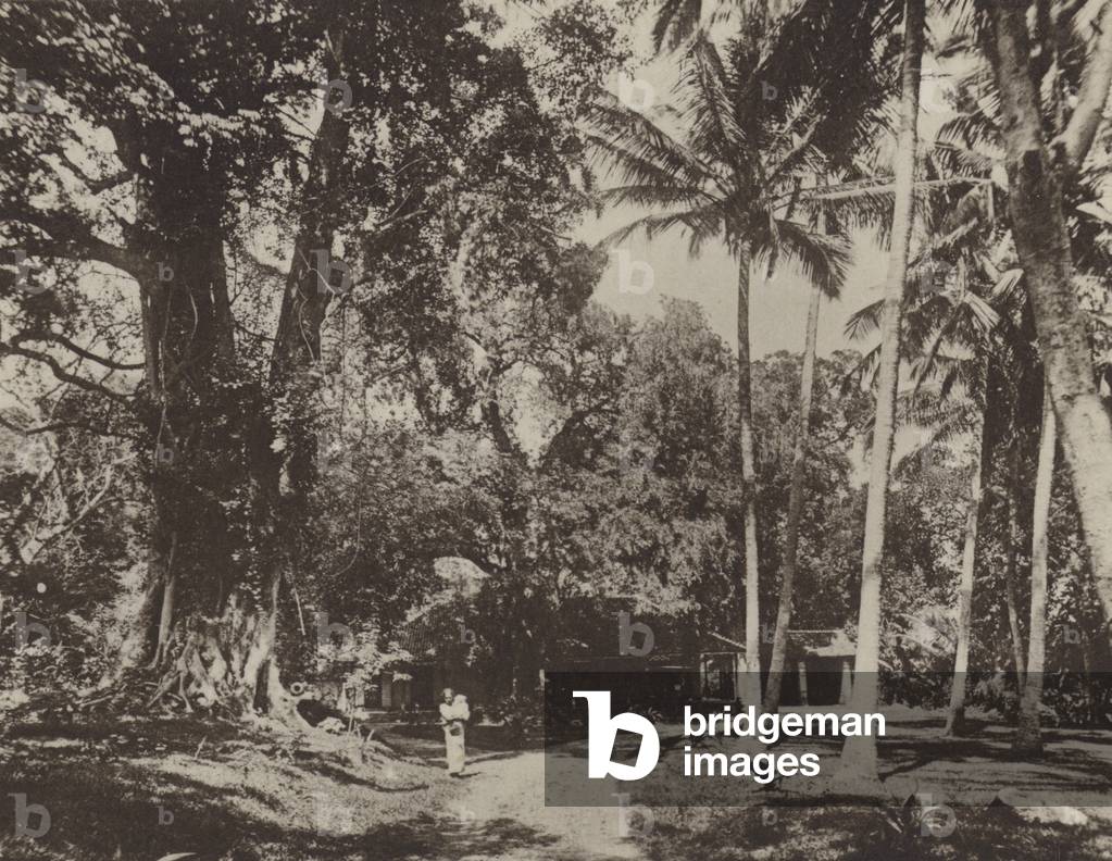 Ruined Cities of Ceylon: Rest-House at Nalanda (b/w photo)