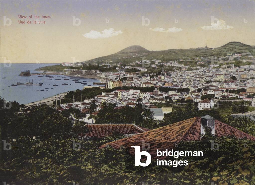 Madeira, View of the town (colour photo)