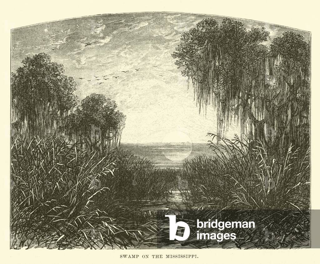 Swamp on the Mississippi (engraving)