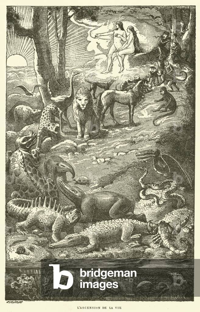 L'ascension de la vie (engraving)