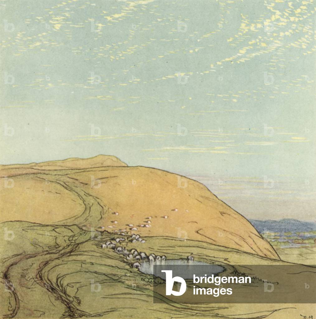 Sussex (colour litho)