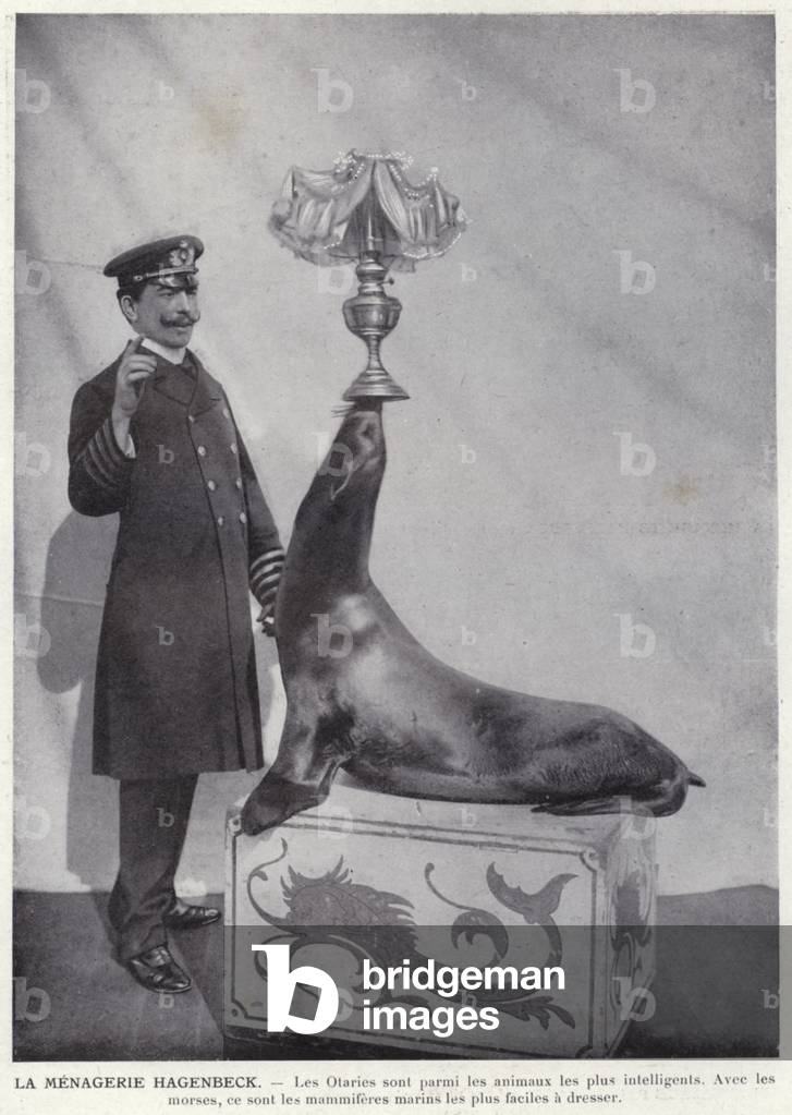 La Menagerie Hagenbeck (b/w photo)