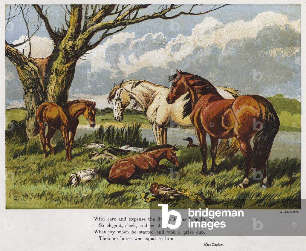 Horses with a young colt on a riverbank (coloured engraving)