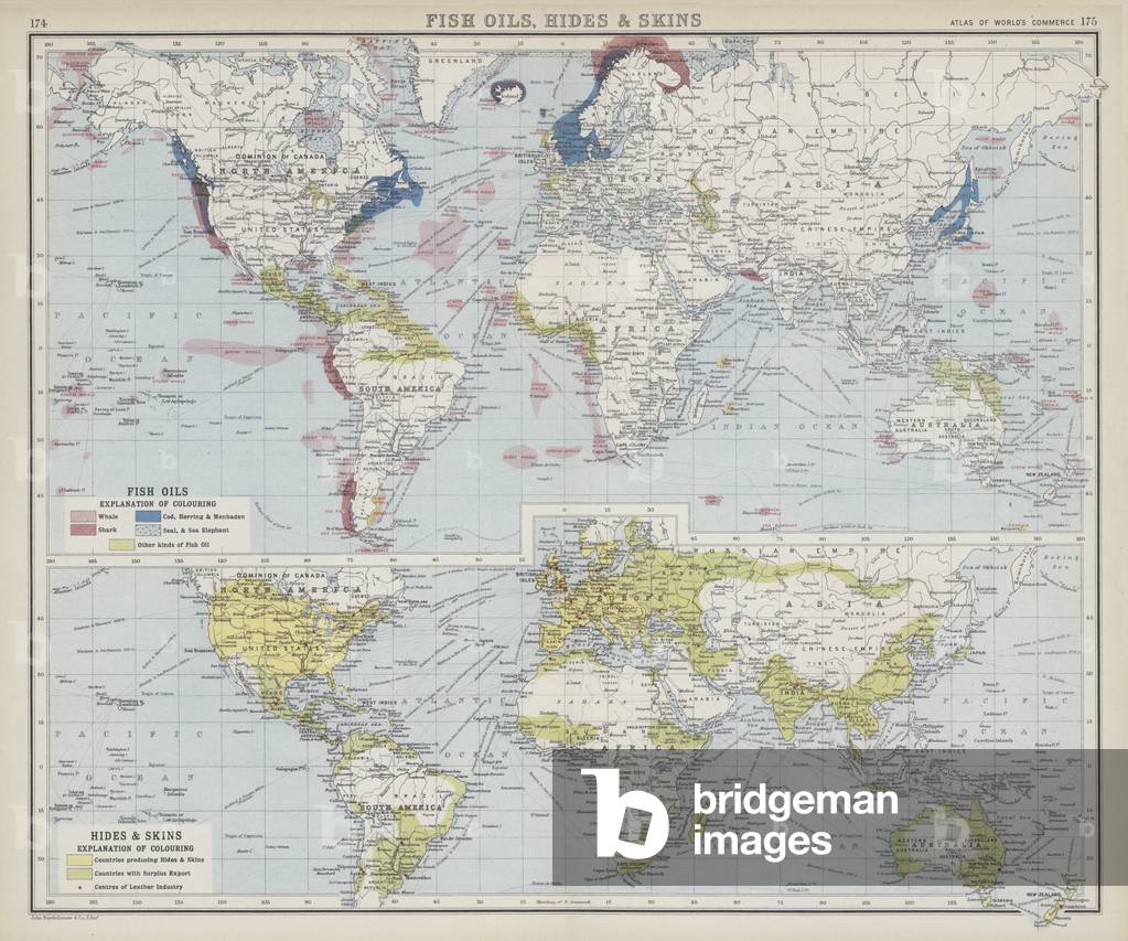Fish oils, hides and skins (colour litho)