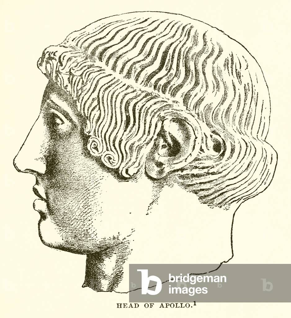 Head of Apollo (engraving)